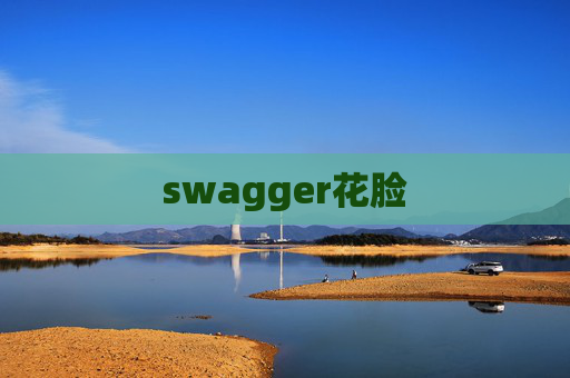 swagger花脸 swagger花脸