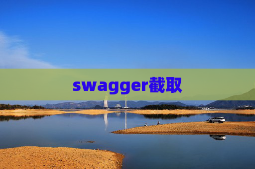 swagger截取